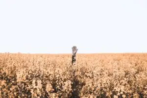 404 lost in field