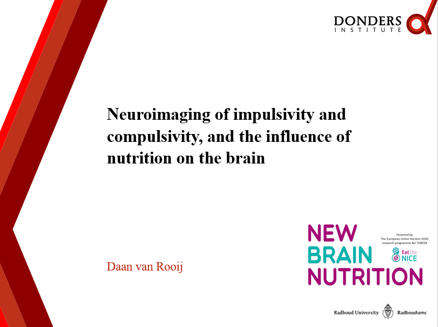 Neuroimaging_Imp_comp_nutrition_Dan van Rooij PhD