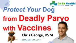 Protect Your Dog from Deadly Parvo with Vaccines - Elanco Animal Health