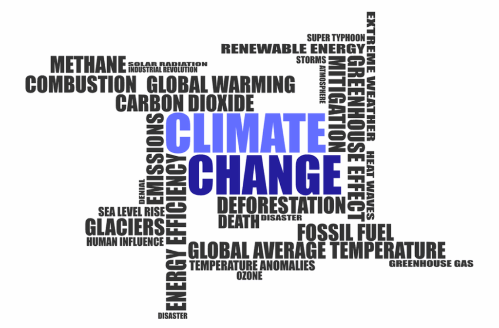 Causes of Climate Change Wordcloud
