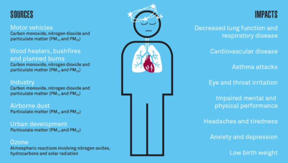 Effects of Pollution