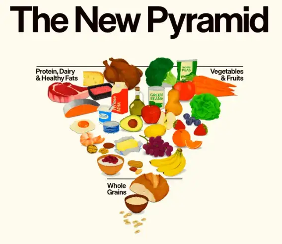 The New Food Pyramid 2026