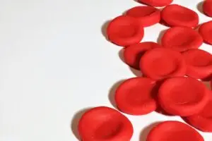 blood cells