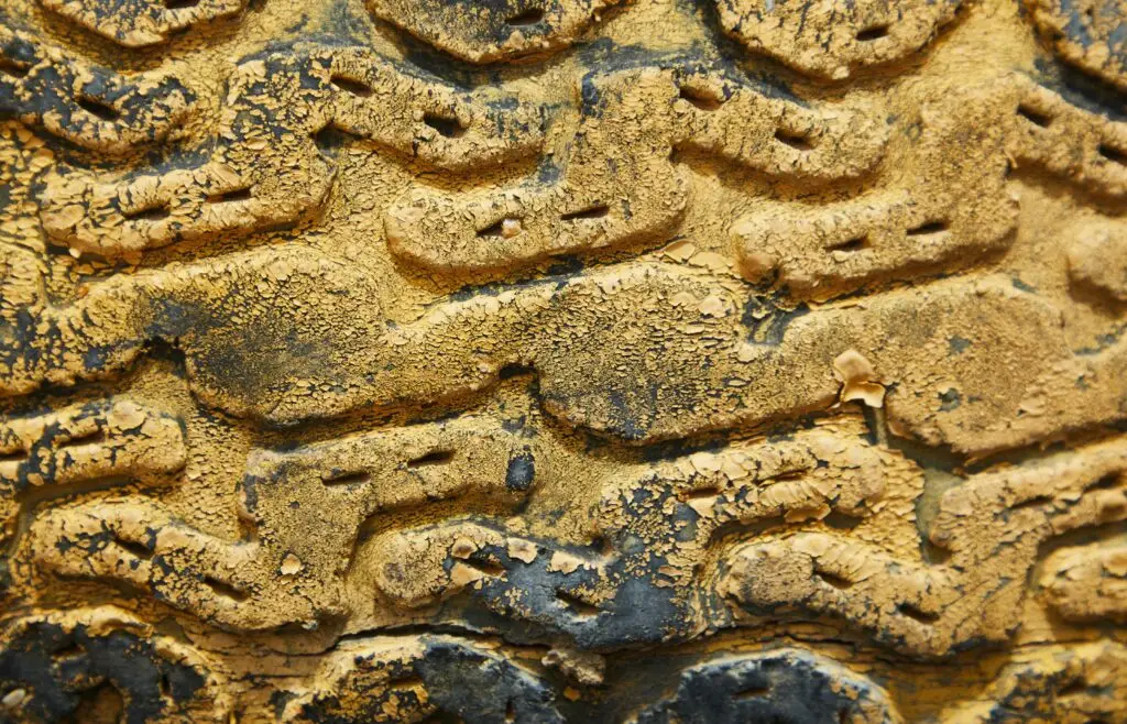 colon graphic