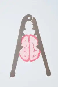 brain in a nutcracker